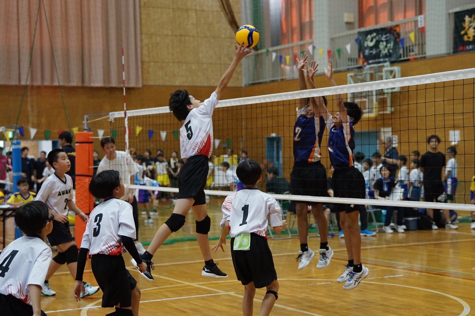 第39回越前市大会で相手ブロックに向かってスパイクを打つ粟野男子選手
